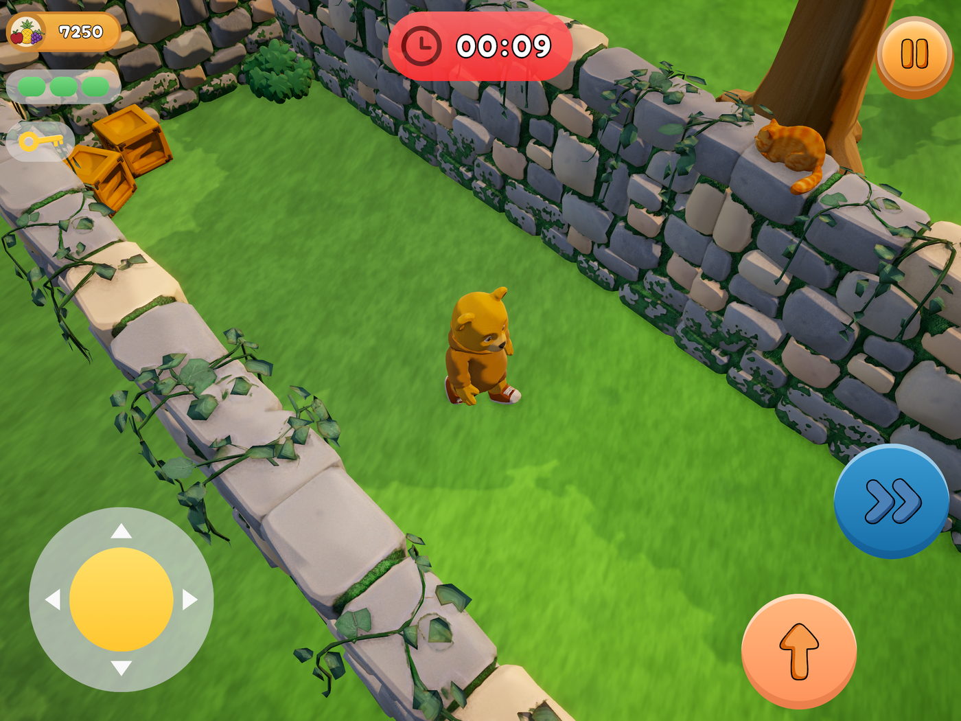 The bear between stacked crates and a low ivy wall, a ginger cat asleep on the stones and nine seconds left on the clock.